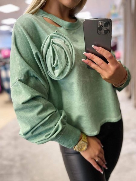 

Casual Plain 3D Floral Crew Neck Sweatshirt, Green, Hoodies and Sweatshirts
