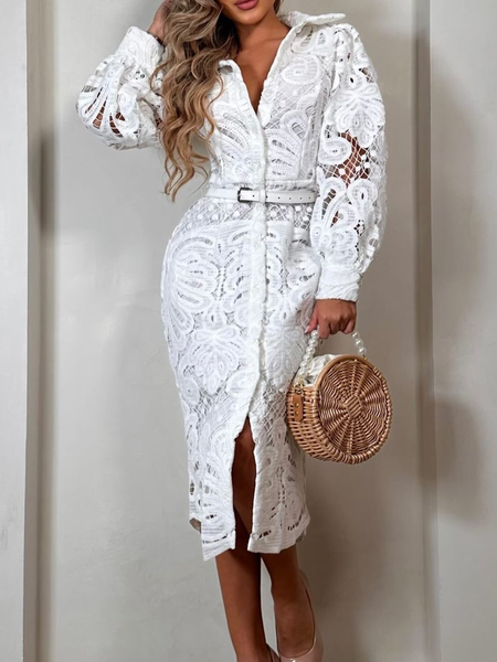 Elegant Plain Shirt Collar Midi Dress No Belt