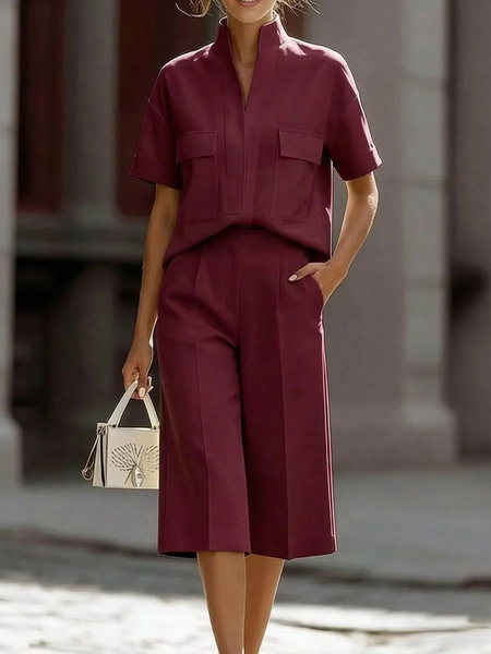

Women Plain Two-Piece Set Daily Three Quarter Sleeve Casual Spring/Fall Top With Pants Matching Set, Wine red, Sets