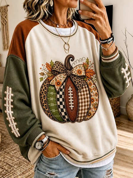 Women Color Block Crew Neck Casual Spring/Fall Long Sleeve Sweatshirt