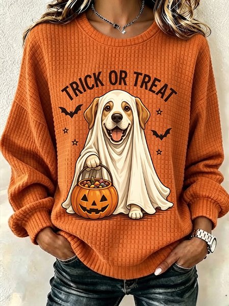 Casual Text Letters Crew Neck Long Sleeve Sweatshirt