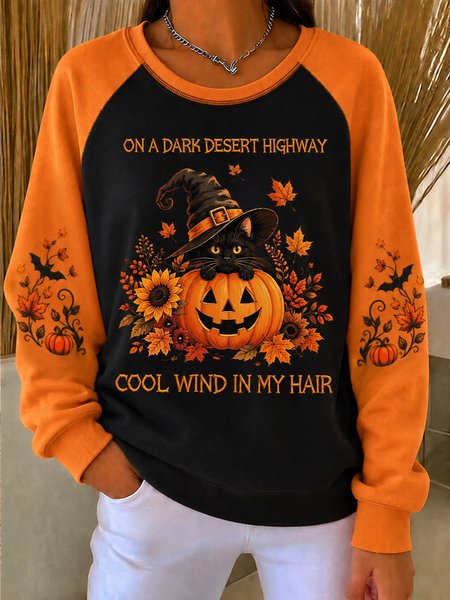 Casual Color Block Crew Neck Long Sleeve Sweatshirt