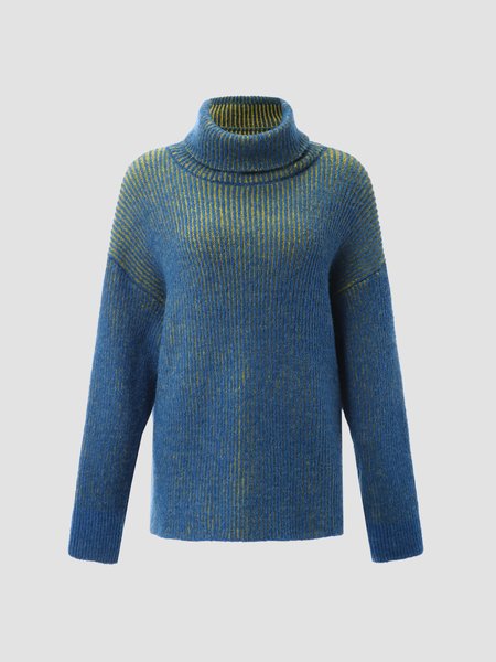 

Vintage Plain Casual Long Sleeve Sweater, Blue, Sweaters