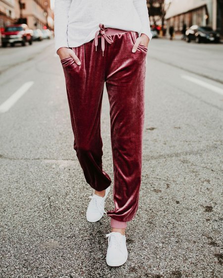 

Velvet Elegant Pants, Wine red, Pants